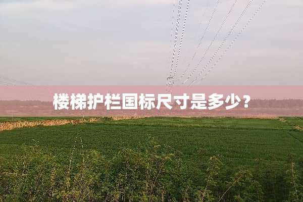 楼梯护栏国标尺寸是多少？