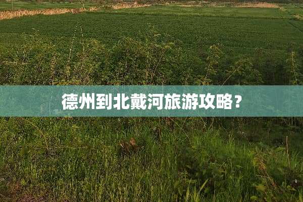 德州到北戴河旅游攻略？