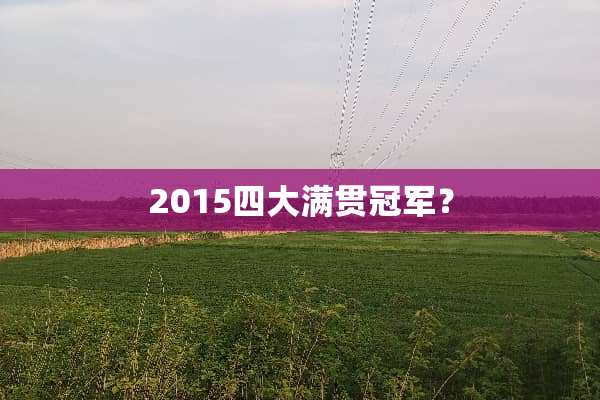 2015四大满贯冠军？