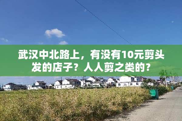 武汉中北路上，有没有10元剪头发的店子？人人剪之类的？