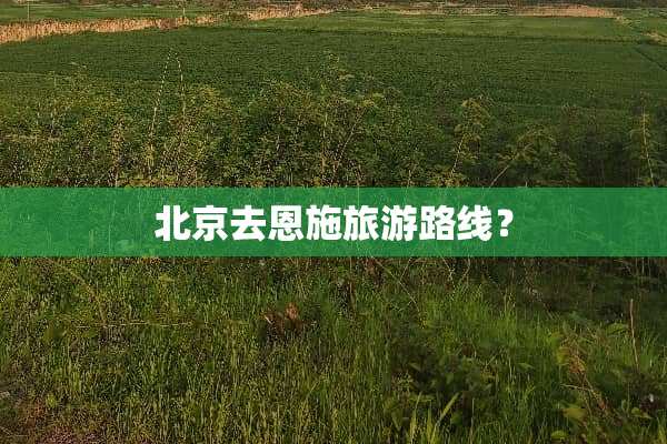 北京去恩施旅游路线？