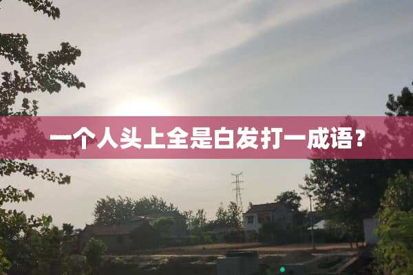 一个人头上全是白发打一成语？