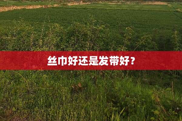 丝巾好还是发带好？