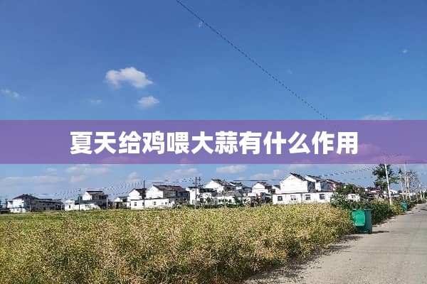 夏天给鸡喂大蒜有什么作用