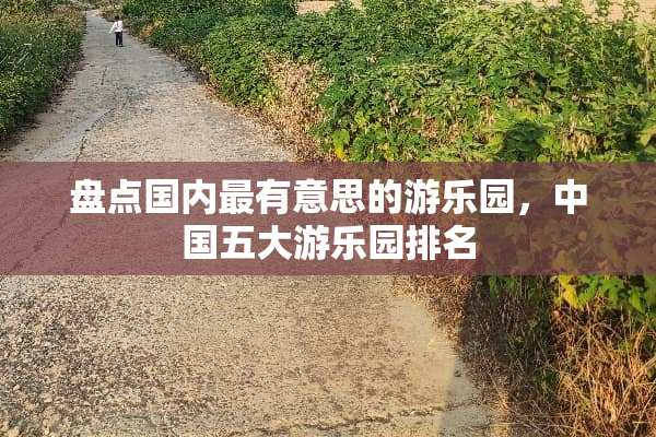 盘点国内最有意思的游乐园，中国五大游乐园排名