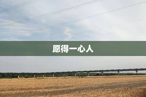 愿得一心人