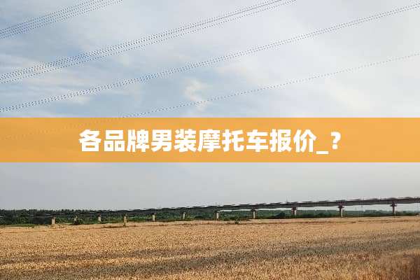 各品牌男装摩托车报价_？