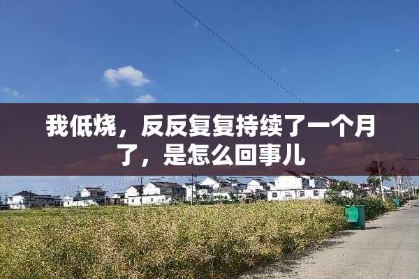 我低烧，反反复复持续了一个月了，是怎么回事儿