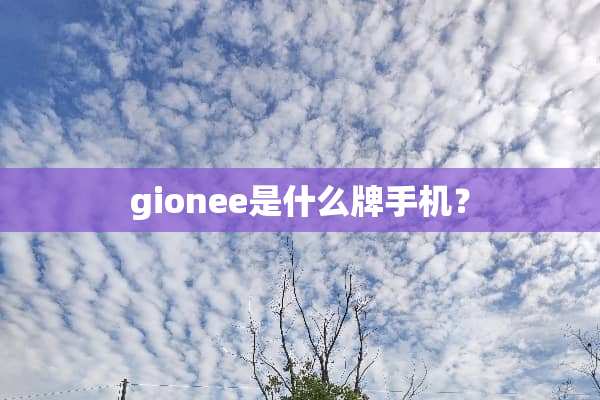gionee是什么牌手机？