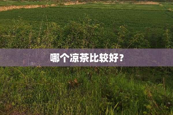 哪个凉茶比较好？