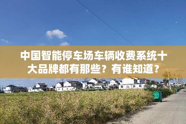 中国智能停车场车辆收费系统十大品牌都有那些？有谁知道？