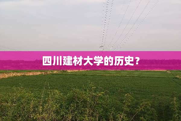 四川建材大学的历史？
