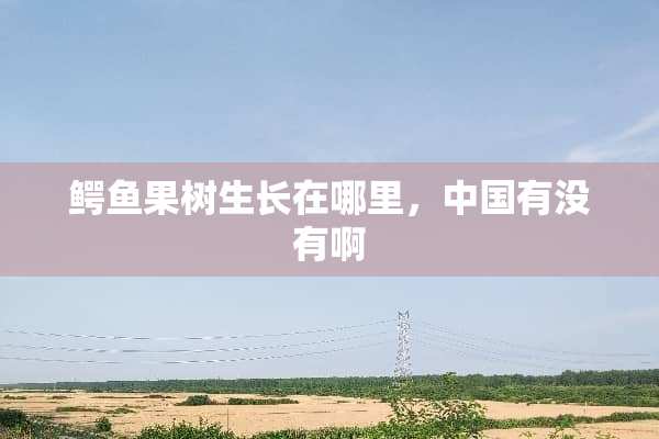 鳄鱼果树生长在哪里，中国有没有啊