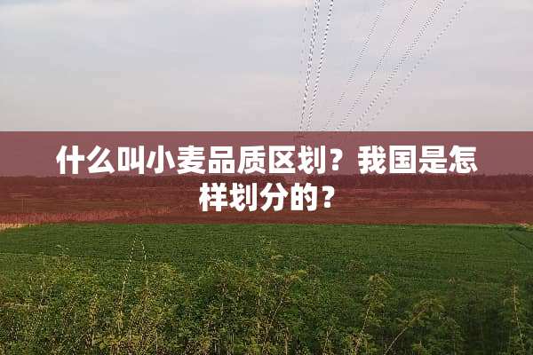 什么叫小麦品质区划？我国是怎样划分的？