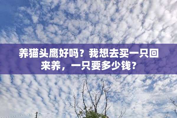 养猫头鹰好吗？我想去买一只回来养，一只要多少钱？