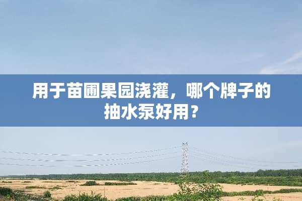 用于苗圃果园浇灌，哪个牌子的抽水泵好用？