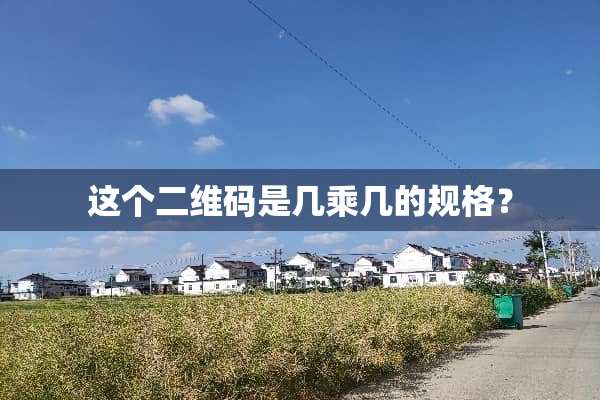 这个二维码是几乘几的规格？