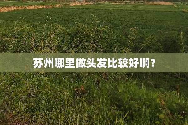 苏州哪里做头发比较好啊？