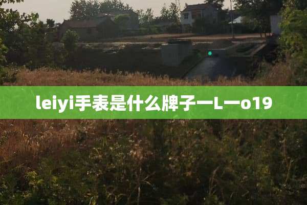 leiyi手表是什么牌子一L一o19