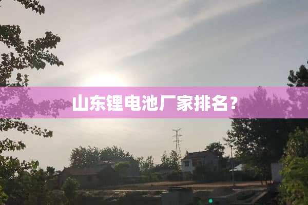 山东锂电池厂家排名？