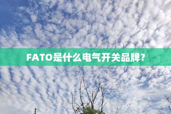 FATO是什么电气开关品牌？