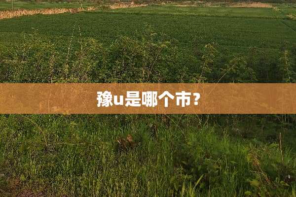 豫u是哪个市？