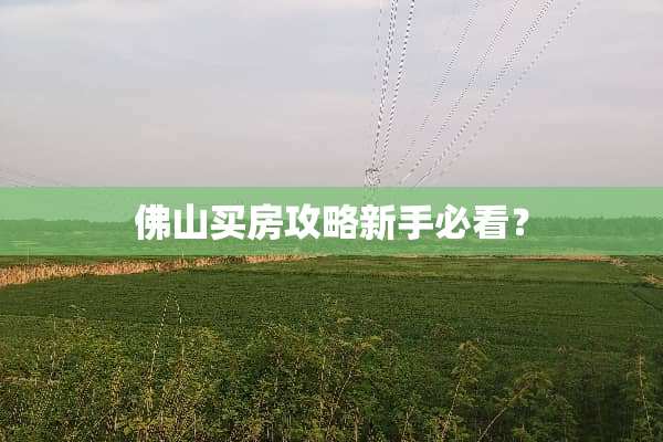 佛山买房攻略新手必看？