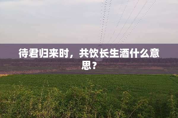 待君归来时，共饮长生酒什么意思？