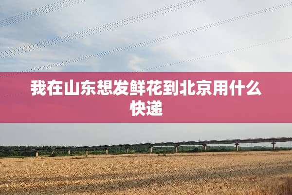 我在山东想发鲜花到北京用什么快递