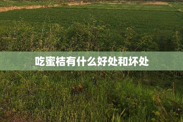 吃蜜桔有什么好处和坏处