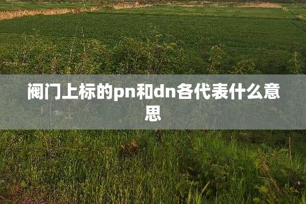 阀门上标的pn和dn各代表什么意思