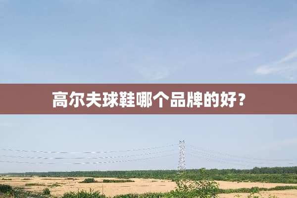 高尔夫球鞋哪个品牌的好？