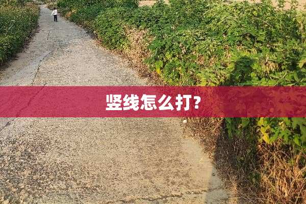 竖线怎么打？