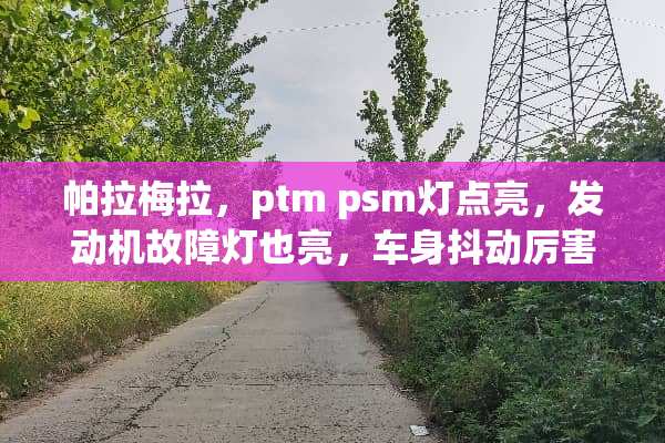 帕拉梅拉，ptm psm灯点亮，发动机故障灯也亮，车身抖动厉害。