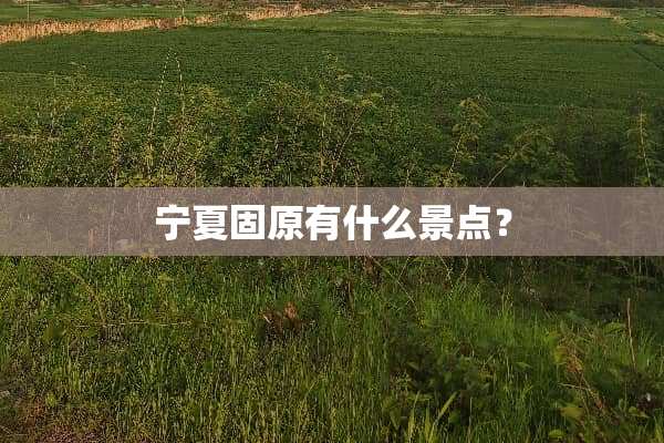 宁夏固原有什么景点？