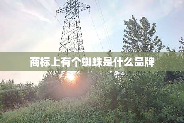 商标上有个蜘蛛是什么品牌