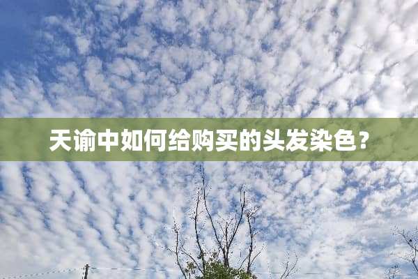 天谕中如何给购买的头发染色？