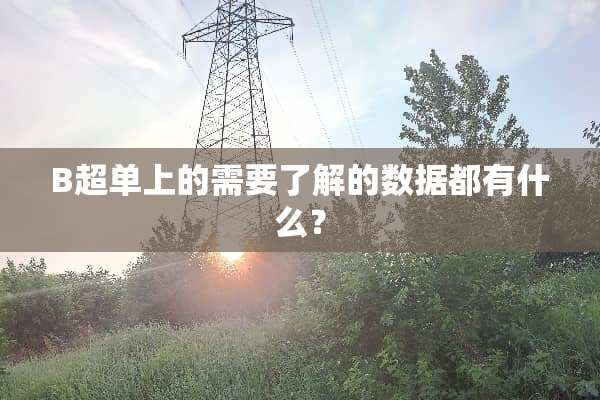 B超单上的需要了解的数据都有什么？