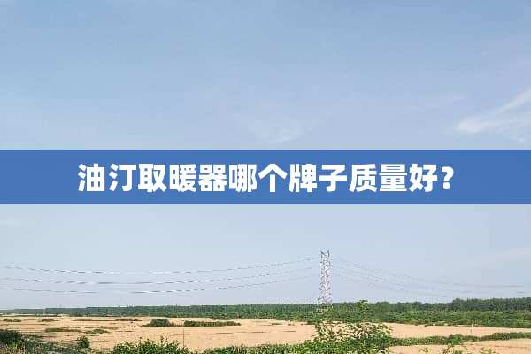油汀取暖器哪个牌子质量好？