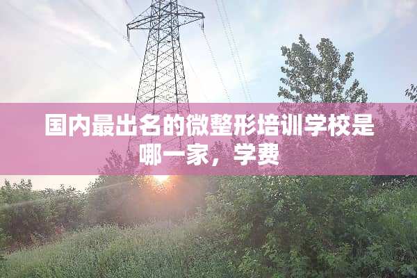 国内最出名的微整形培训学校是哪一家，学费