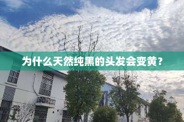 为什么天然纯黑的头发会变黄？