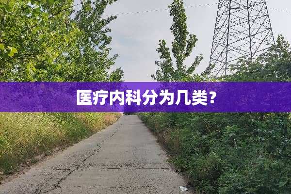 医疗内科分为几类？