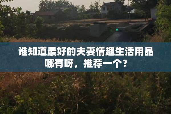谁知道最好的夫妻情趣生活用品哪有呀，推荐一个？