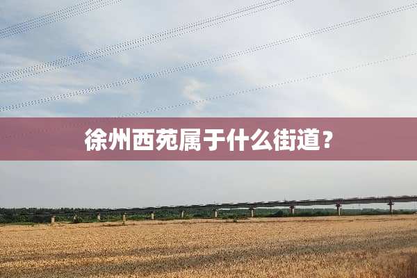 徐州西苑属于什么街道？