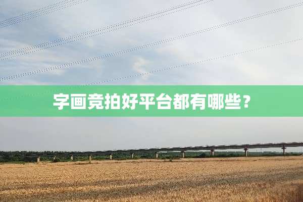 字画竞拍好平台都有哪些？