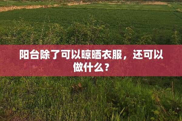 阳台除了可以晾晒衣服，还可以做什么？