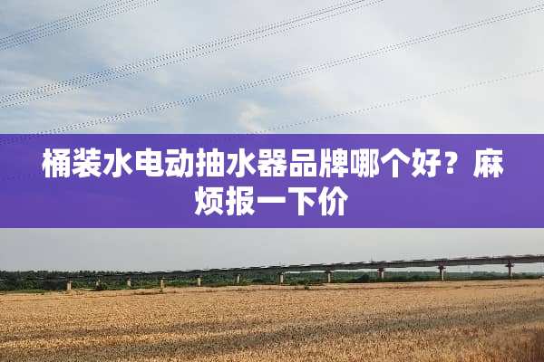 桶装水电动抽水器品牌哪个好？麻烦报一下价