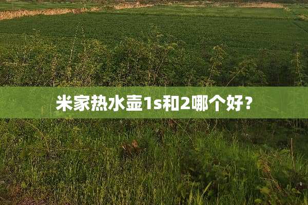 米家热水壶1s和2哪个好？