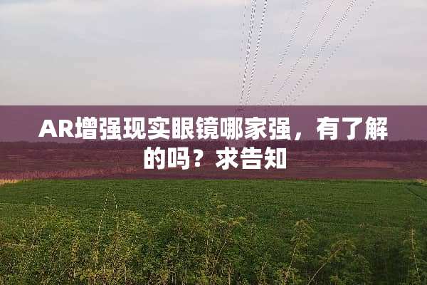 AR增强现实眼镜哪家强，有了解的吗？求告知