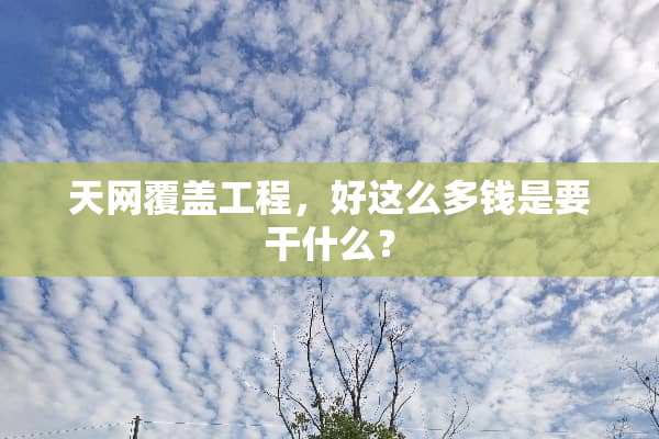 天网覆盖工程，好这么多钱是要干什么？